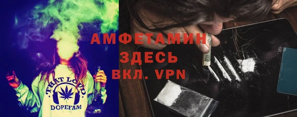 молекула духа Нягань