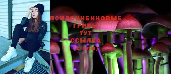 молекула духа Нягань