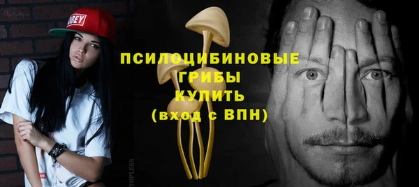 индика Нязепетровск