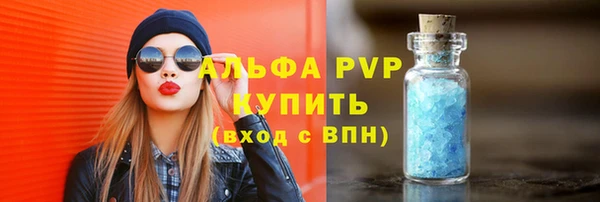 индика Нязепетровск