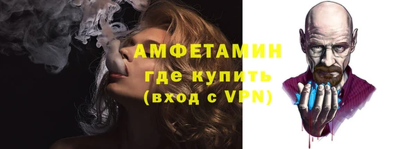 индика Нязепетровск