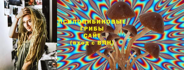 молекула духа Нягань
