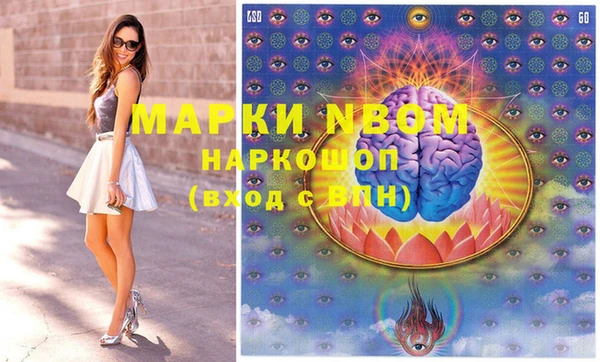 индика Нязепетровск