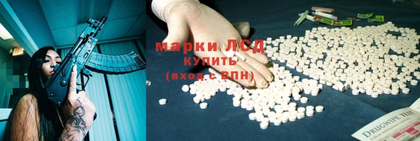 индика Нязепетровск