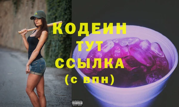 индика Нязепетровск